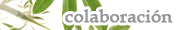 Colaboraci&oacute;n profesional